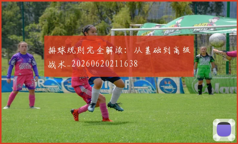 排球规则完全解读：从基础到高级战术_20260620211638