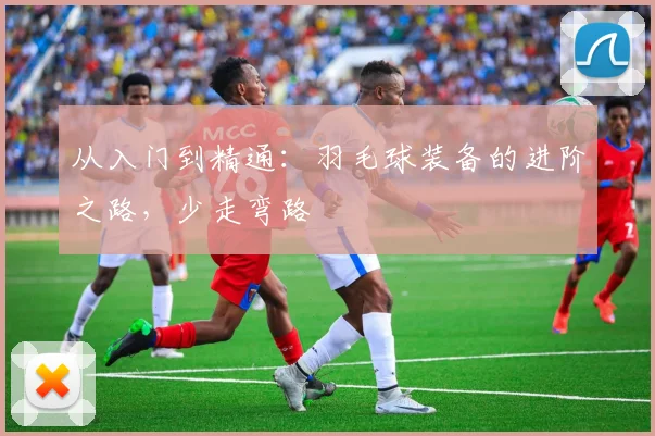 从入门到精通：羽毛球装备的进阶之路，少走弯路