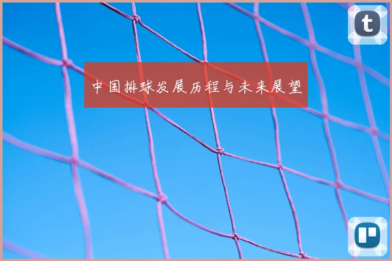 中国排球发展历程与未来展望